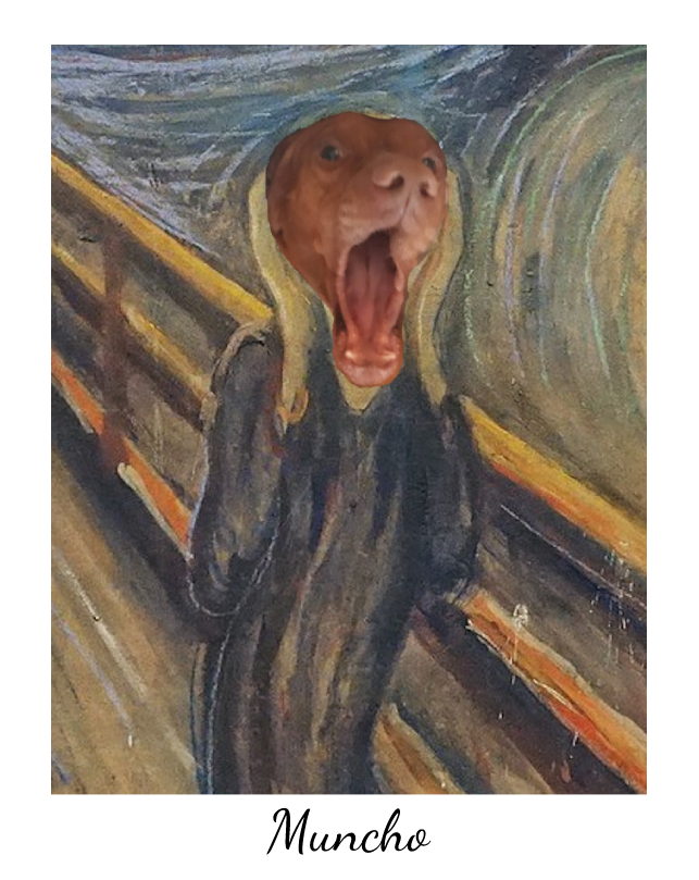 Image of vizsla Mango in style of Muncho