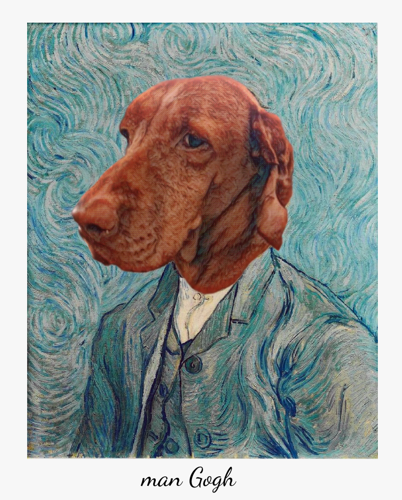 Image of vizsla Mango in style of van Gogh